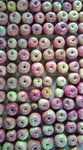 apple_001.jpg