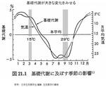 seikisyo_004.JPG